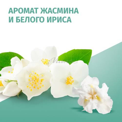 Антиперспирант FA Защита и комфорт свежий аромат жасмин аэрозоль, 150 мл #7