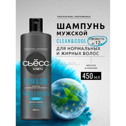 Шампунь СЬЁСС Men Clean & Cool, 450 мл #2