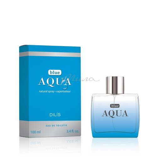 Вода туалетная DILIS Aqua Blue для мужчин, 100 мл