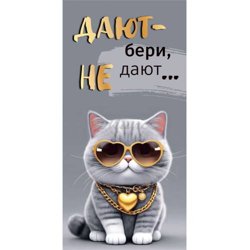Конверт для денег "Дают - бери, не дают - отбери", арт. 10000414