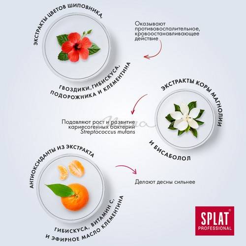 Паста зубная SPLAT Professional Здоровые десны, 100 мл #7