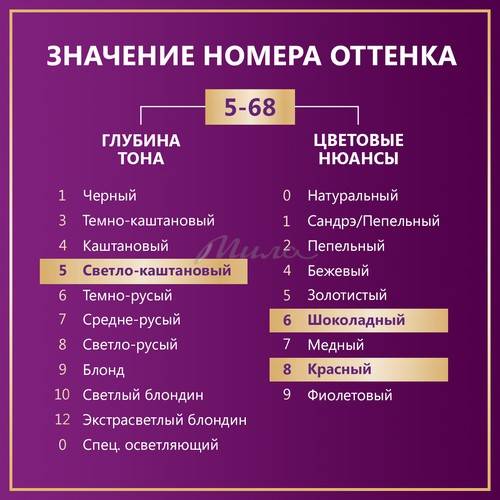 Краска для волос ПАЛЕТТ Интенсивный цвет, тон R4 каштан, 110 мл #11