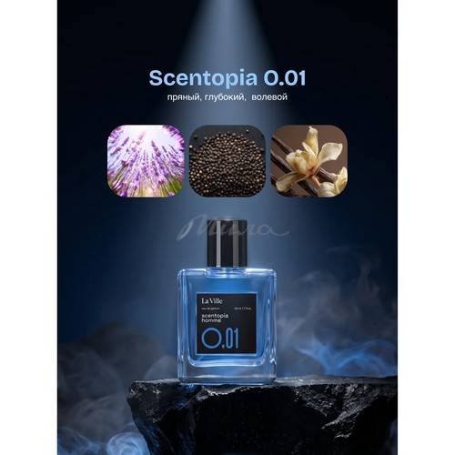 Парфюмерная вода LA VILLE Scentopia O.01 для мужчин, 50 мл #3
