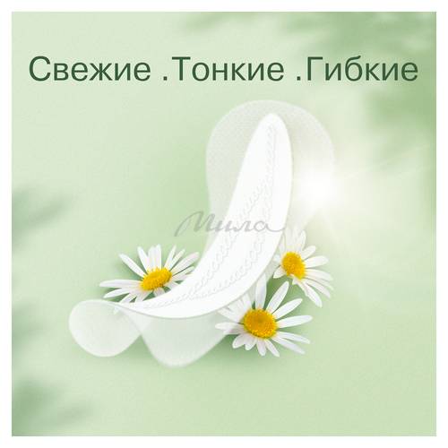 Прокладки женские NATURELLA Лайт ежедневные, 100 шт #6