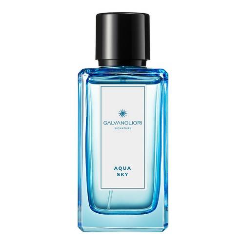 Вода туалетная для мужчин GALVANOLIORI SIGNATURE Aqua Sky, 100 мл #2