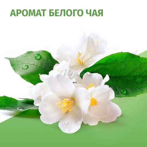 Дезодорант-аэрозоль FA Природная свежесть Белый чай, 150 мл #8