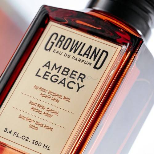 Парфюмерная вода DILIS Growland Amber Legacy для мужчин, 100 мл #2