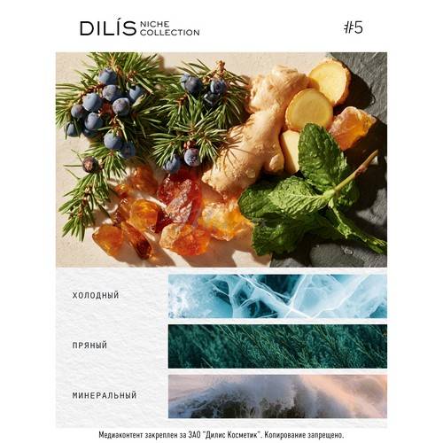 Духи экстра DILIS Niche Collection Silent Moon для мужчин, 50 мл #5