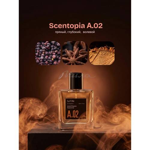 Парфюмерная вода LA VILLE Scentopia A.02 для мужчин, 50 мл #5
