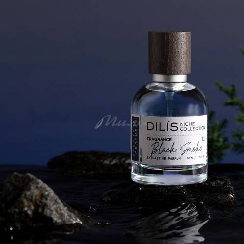 Духи для мужчин DILIS Экстра Niche Collection Black Smoke, 50 мл #2