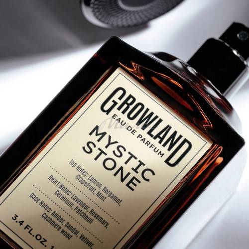 Парфюмерная вода DILIS Growland Mystic Stone для мужчин, 100 мл #2