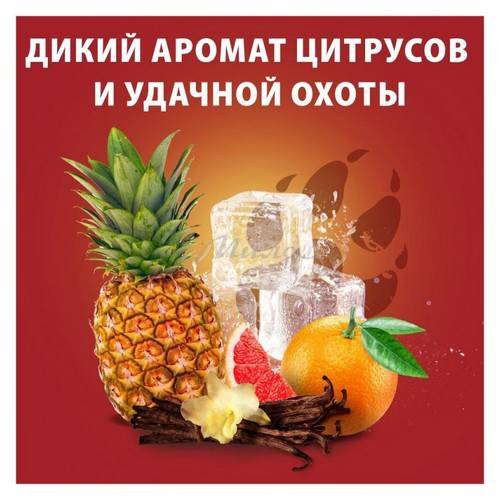 Шампунь-гель для душа OLD SPICE Wolfthorn, 1 л #3