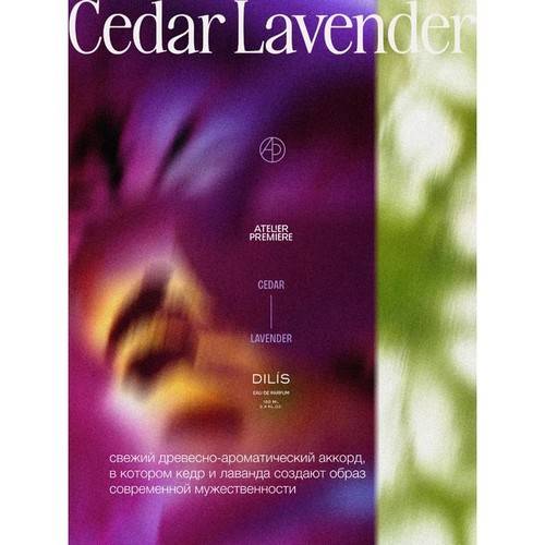 Парфюмерная вода ATELIER PREMIERE Cedar Lavender для мужчин, 100 мл #4