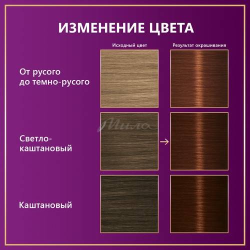 Краска для волос ПАЛЕТТ Интенсивный цвет, тон R4 каштан, 110 мл #7