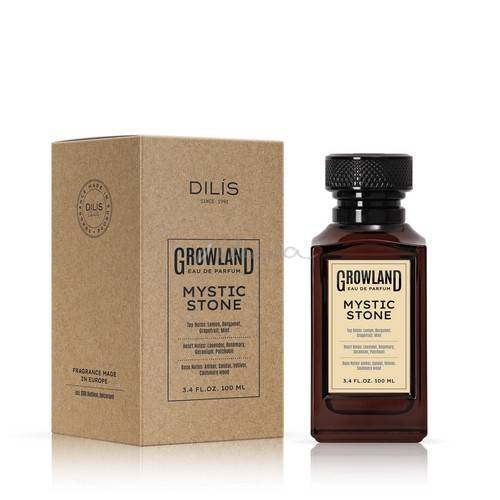 Парфюмерная вода DILIS Growland Mystic Stone для мужчин, 100 мл