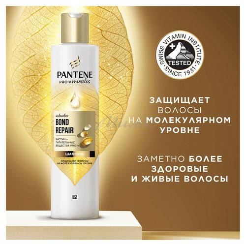 Шампунь для волос PANTENE ProV Miracles Molecular Bond Repair, 250 мл #2