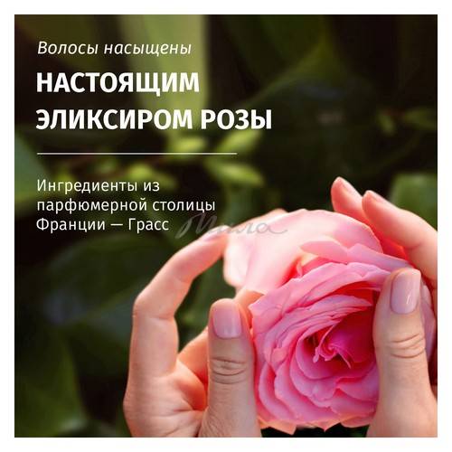 Подарочный набор HERBAL ESSENCES Аромат розы Шампунь, 250 мл + Бальзам-ополаскиватель, 180 мл #5