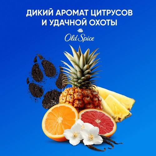 Шампунь для мужчин HEAD&SHOULDERS Old Spice Captain, 360 мл #4