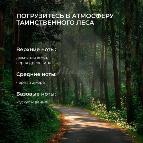 Гель для душа ECOCLARME Лесная прогулка Увлажняющий Натуральный уход, 1 л #8
