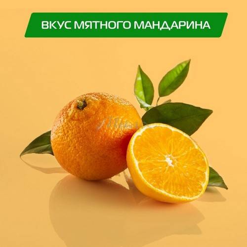 Ополаскиватель для полости рта BIOMED Vitafresh пенный комплексный, 500мл #5